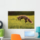 Red Fox Hunting, Prince Edward Island Wall Mural
