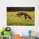 Red Fox Hunting, Prince Edward Island Wall Mural