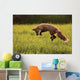Red Fox Hunting, Prince Edward Island Wall Mural