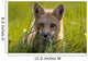 Red Fox, Prince Edward Island Wall Mural