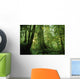 Forest Trees, Carmang Walbran Provincial Park, Vancouver Island, Bc Wall Mural