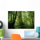 Forest Trees, Carmang Walbran Provincial Park, Vancouver Island, Bc Wall Mural
