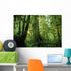 Forest Trees, Carmang Walbran Provincial Park, Vancouver Island, Bc Wall Mural