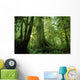 Forest Trees, Carmang Walbran Provincial Park, Vancouver Island, Bc Wall Mural
