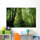 Forest Trees, Carmang Walbran Provincial Park, Vancouver Island, Bc Wall Mural