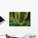 Forest Trees, Carmanah Walbran Provincial Park, Vancouver Island, Bc Wall Mural