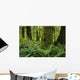 Forest Trees, Carmanah Walbran Provincial Park, Vancouver Island, Bc Wall Mural
