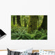Forest Trees, Carmanah Walbran Provincial Park, Vancouver Island, Bc Wall Mural