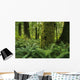 Forest Trees, Carmanah Walbran Provincial Park, Vancouver Island, Bc Wall Mural