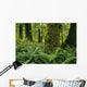 Forest Trees, Carmanah Walbran Provincial Park, Vancouver Island, Bc Wall Mural