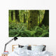 Forest Trees, Carmanah Walbran Provincial Park, Vancouver Island, Bc Wall Mural