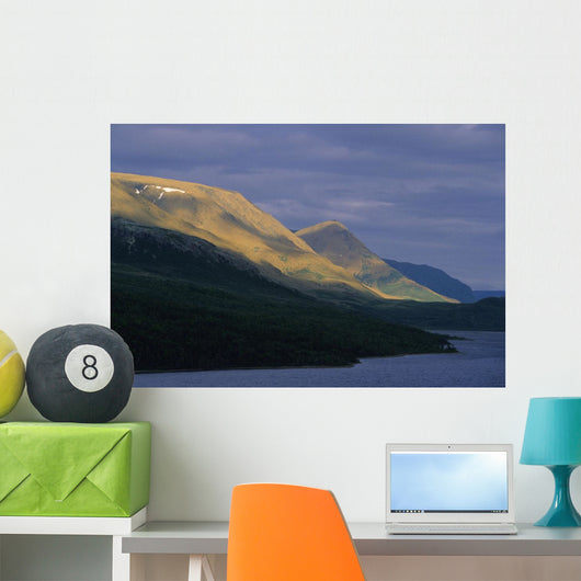 Tablelands At Trout River Pond Wall Mural