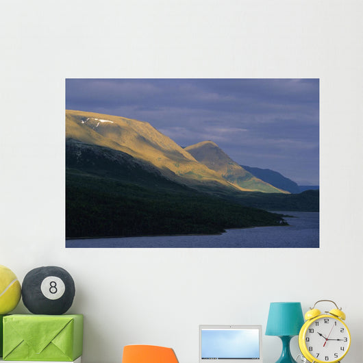 Tablelands At Trout River Pond Wall Mural