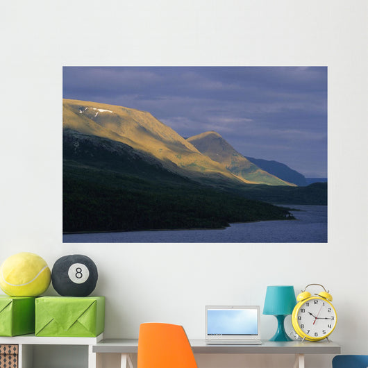 Tablelands At Trout River Pond Wall Mural