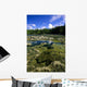 Tide Pools, Botanical Beach, Vancouver Island, Bc Wall Mural