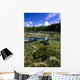 Tide Pools, Botanical Beach, Vancouver Island, Bc Wall Mural
