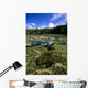 Tide Pools, Botanical Beach, Vancouver Island, Bc Wall Mural