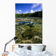 Tide Pools, Botanical Beach, Vancouver Island, Bc Wall Mural