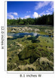 Tide Pools, Botanical Beach, Vancouver Island, Bc Wall Mural
