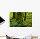 Forest Trees, Carmanah Walbran Provincial Park, Vancouver Island, Bc Wall Mural