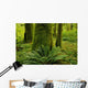 Forest Trees, Carmanah Walbran Provincial Park, Vancouver Island, Bc Wall Mural