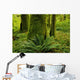 Forest Trees, Carmanah Walbran Provincial Park, Vancouver Island, Bc Wall Mural