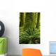 Forest Trees, Carmanagh Walbran Provincial Park, Vancouver Island, Bc Wall Mural