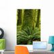 Forest Trees, Carmanagh Walbran Provincial Park, Vancouver Island, Bc Wall Mural