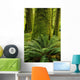 Forest Trees, Carmanagh Walbran Provincial Park, Vancouver Island, Bc Wall Mural