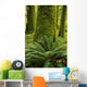 Forest Trees, Carmanagh Walbran Provincial Park, Vancouver Island, Bc Wall Mural