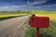 Mailbox On Country Road, Tiger Hills, Manitoba Wall Mural