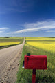 Mailbox On Country Road, Tiger Hills, Manitoba Wall Mural