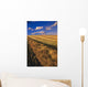 Canola Field, Tiger Hills, Manitoba Wall Mural