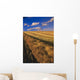 Canola Field, Tiger Hills, Manitoba Wall Mural
