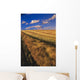 Canola Field, Tiger Hills, Manitoba Wall Mural