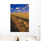 Canola Field, Tiger Hills, Manitoba Wall Mural