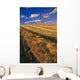 Canola Field, Tiger Hills, Manitoba Wall Mural