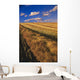 Canola Field, Tiger Hills, Manitoba Wall Mural