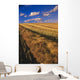 Canola Field, Tiger Hills, Manitoba Wall Mural