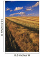 Canola Field, Tiger Hills, Manitoba Wall Mural