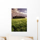 Barley Field, Tiger Hills, Manitoba Wall Mural