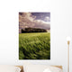 Barley Field, Tiger Hills, Manitoba Wall Mural
