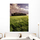 Barley Field, Tiger Hills, Manitoba Wall Mural