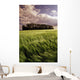 Barley Field, Tiger Hills, Manitoba Wall Mural
