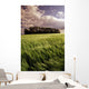 Barley Field, Tiger Hills, Manitoba Wall Mural