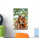Two Horses in Paddock Wall Mural