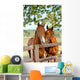 Two Horses in Paddock Wall Mural