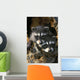 Raccoon Young In Tree Hollow Spring Rocky Mountains Wall Mural