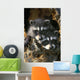 Raccoon Young In Tree Hollow Spring Rocky Mountains Wall Mural