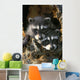 Raccoon Young In Tree Hollow Spring Rocky Mountains Wall Mural